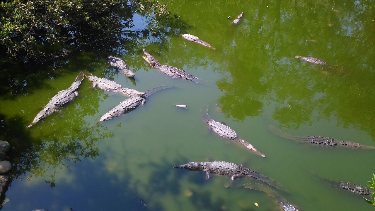 Posada Playa Linda Ixtapa  Kültér fotó